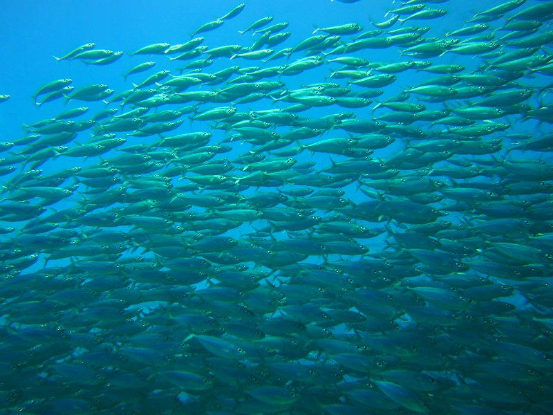 Curacao 04-12 557.JPG